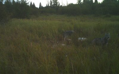 Wednesday September 18, 2013