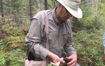 Saturday, September 5, 2015