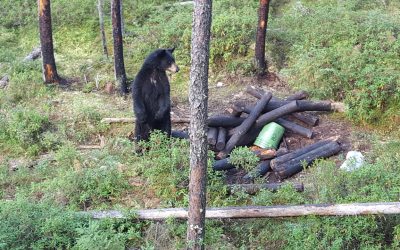 Friday September 18, 2015