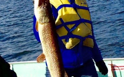 Tuesday September 22, 2015