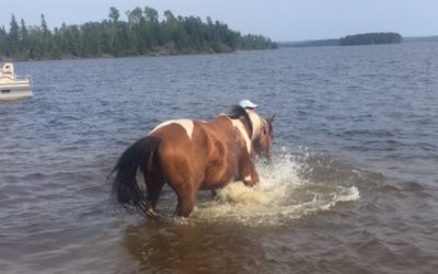 Monday August 17, 2015