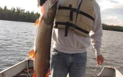 Wednesday August 19, 2015