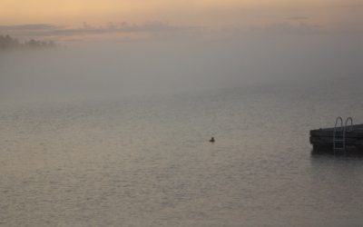 Tuesday August 18, 2015