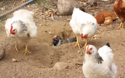 Wednesday September 16, 2015