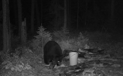 Thursday September 10, 2015