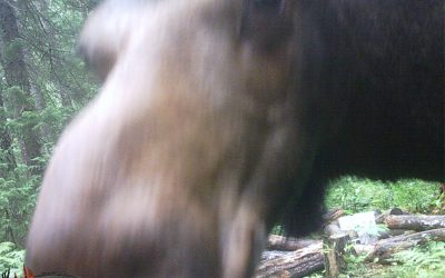 Friday August 7, 2015