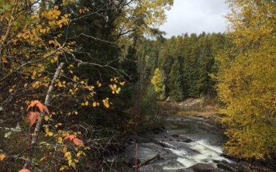 Friday October 9, 2105