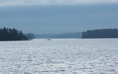 Saturday October 31, 2015