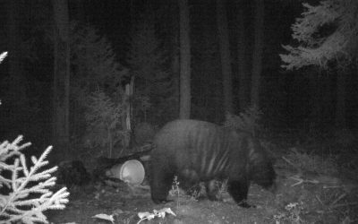 Friday October 2, 2015