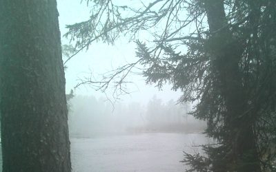 Friday November 20, 2015