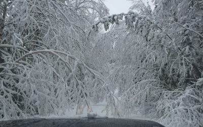 Saturday November 14, 2015