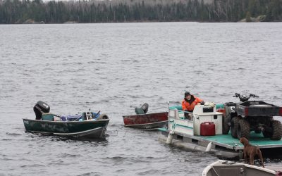 Sunday November 1, 2015