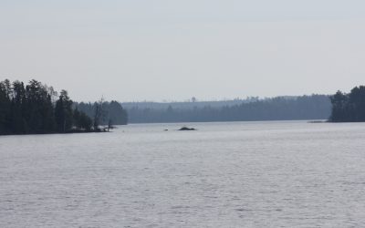 Tuesday November 10, 2015