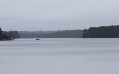 Thursday November 12, 2015