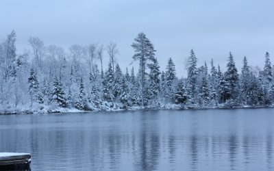 Friday November 13, 2015