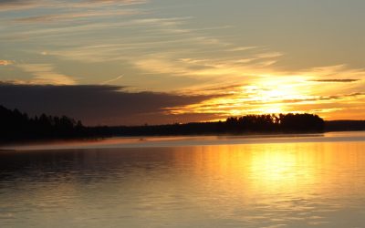 Sunday November 15, 2015