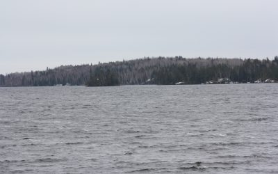 Monday November 16, 2015