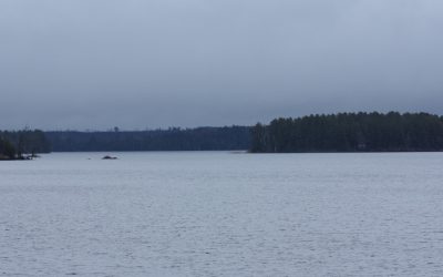 Wednesday November 18, 2015