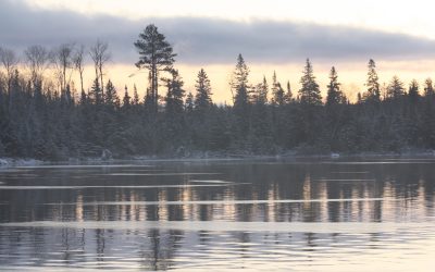 Saturday November 21, 2015