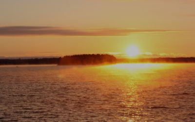 Sunday November 22, 2015