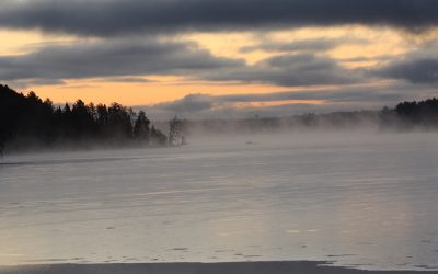 Friday November 27, 2015