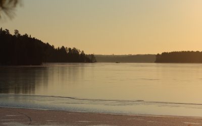 Saturday November 28, 2015