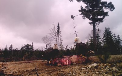 Friday November 6, 2015