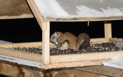 Tuesday December 29, 2015