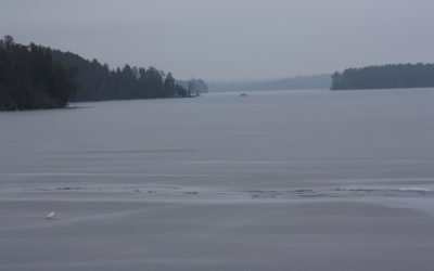 Sunday December 6, 2015