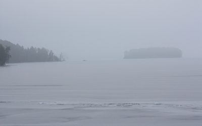 Tuesday December 8, 2015