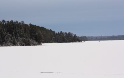 Saturday December 12, 2015