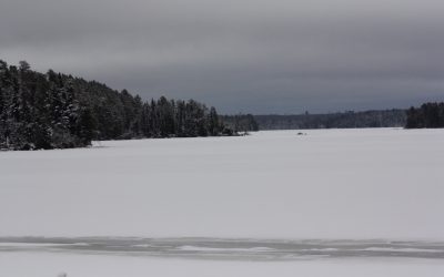 Monday December 14, 2015