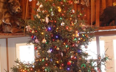 Saturday December 19, 2015