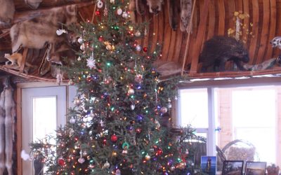 Friday December 25, 2015