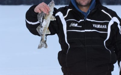 Sunday January 3, 2015