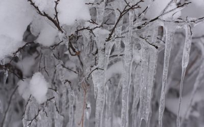 Thursday January 7, 2016