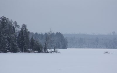 Friday January 7, 2016