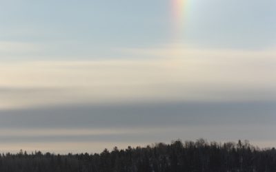 Tuesday January 12, 2106