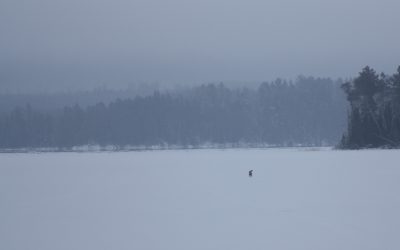 Thursday January 14, 2016