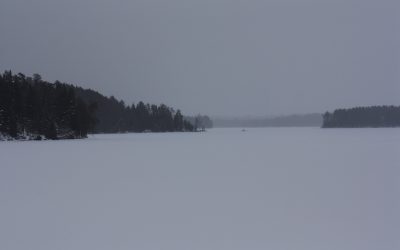 Saturday January 16, 2016