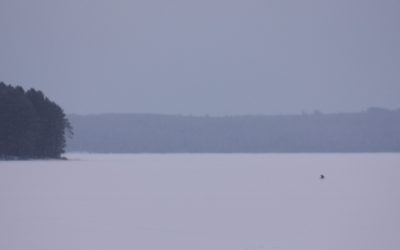 Thursday January 21, 2016