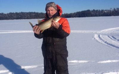 Saturday January 23, 2016