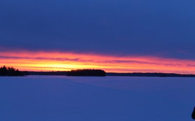 Friday, January 29, 2016