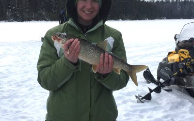 Sunday January 24, 2016