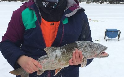 Tuesday January 26, 2016