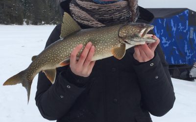 Monday January 25, 2016