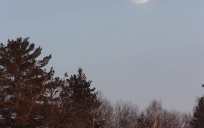 Friday February 26, 2016