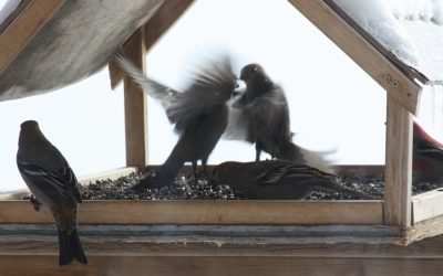 Thursday February 11, 2016