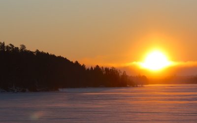 Friday February 12, 2016