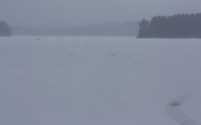 Saturday February 20, 2016